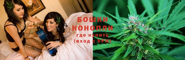 амф Абаза